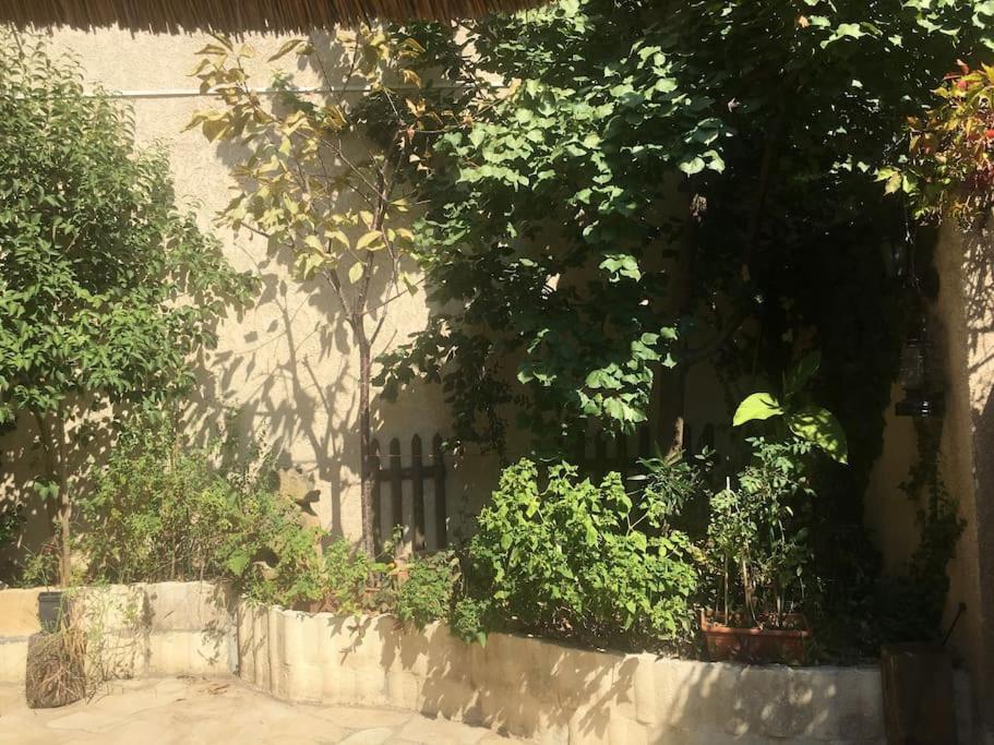 Studio Ideal Pour Deux Voyageurs Sur مارسيليا المظهر الخارجي الصورة